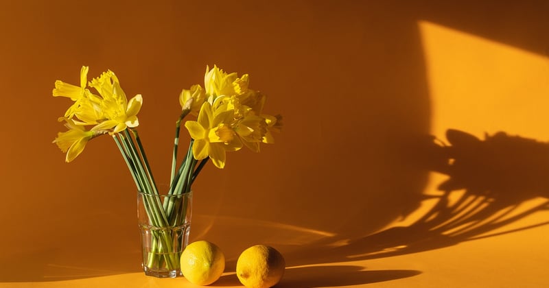 Objets connectés pour la maison intelligente : le guide pour tout simplifier